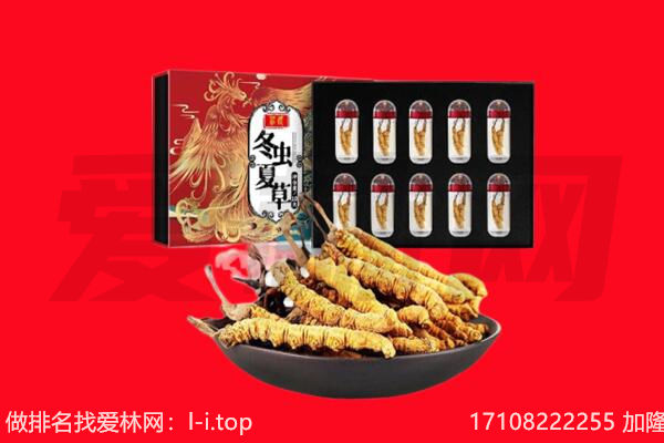 大同浑源县回收虫草.jpg
